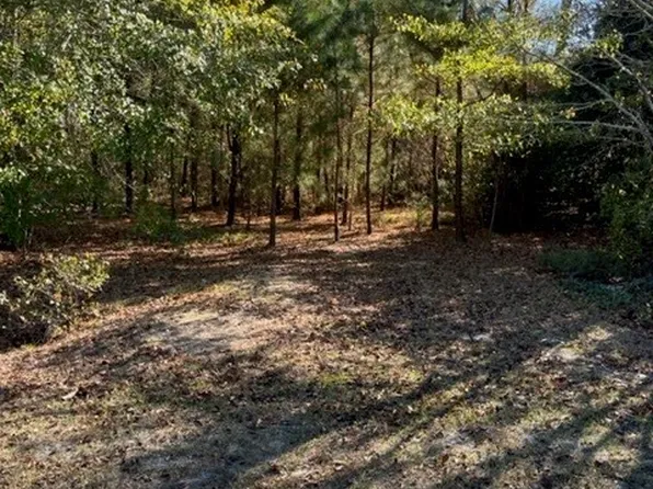 3134 Duck Pond Rd, Linden, NC 28356