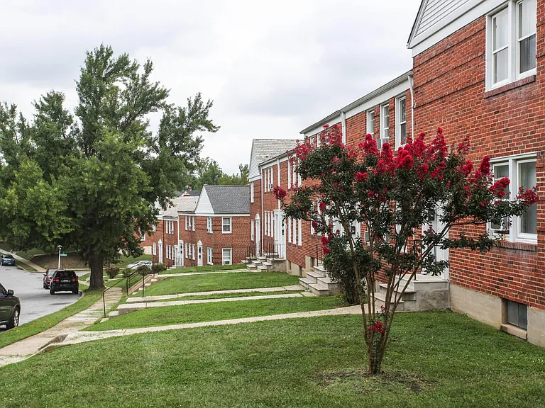 Lothian and Oakridge Apartments — Photo 9