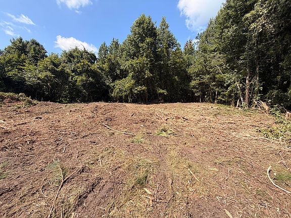 5th image of 1547A Pine Valley Dr