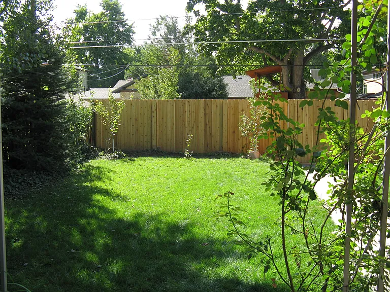 Back yard