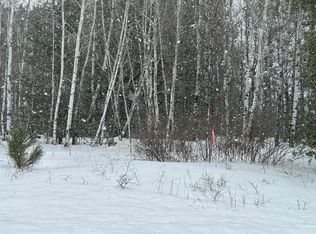 LOT 1 N Shore Dr, Iron River, WI 54847