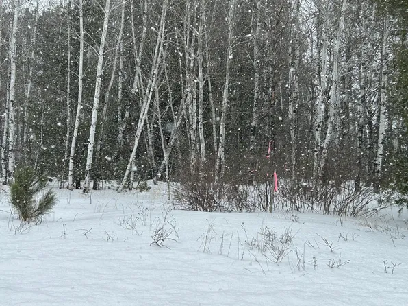 LOT 1 N Shore Dr, Iron River, WI 54847