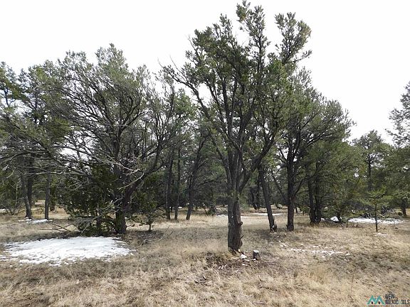 3rd image of 8 Branding Iron Rd