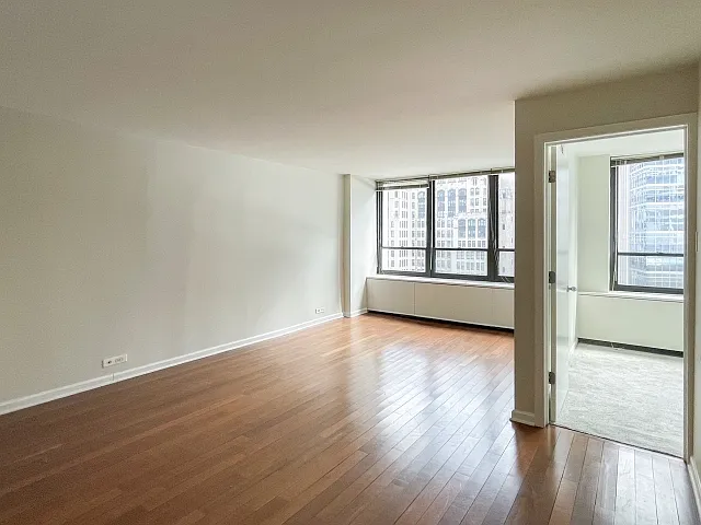 222 E Pearson St #1206 — Photo 4