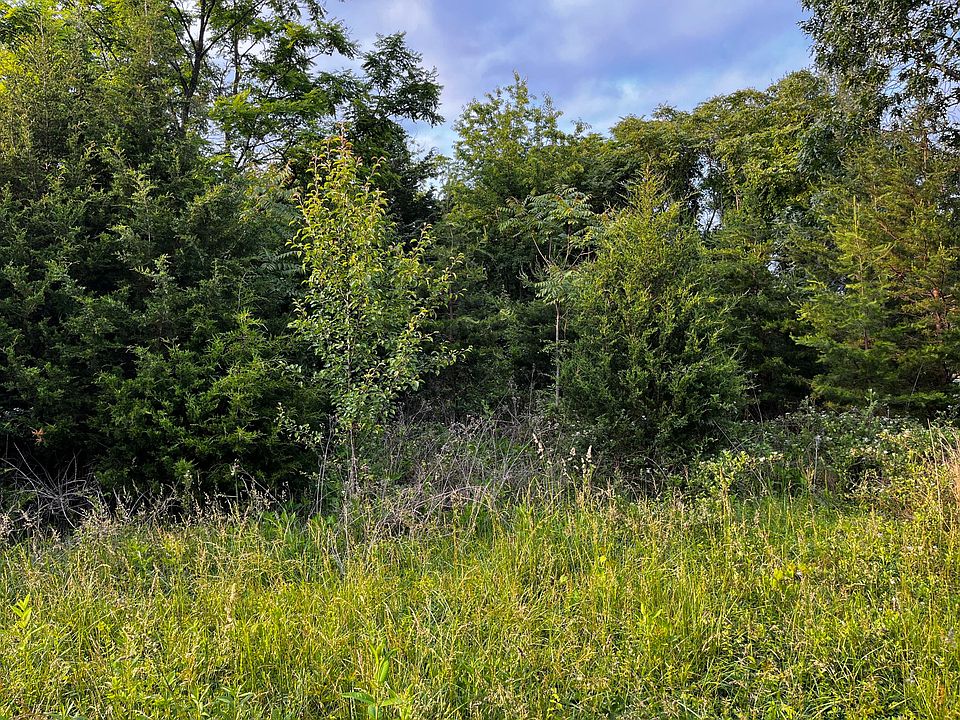 2nd image of LOT 4 McDaniel Rd