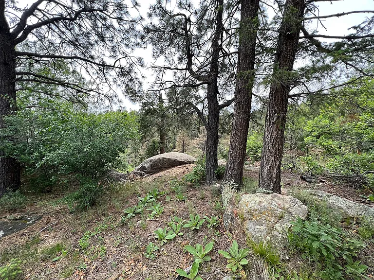 3493 Pueblo Dr — Photo 3