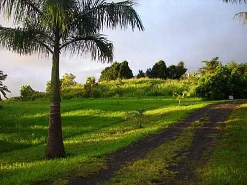 35-13 Kahawailani Pl — Photo 9