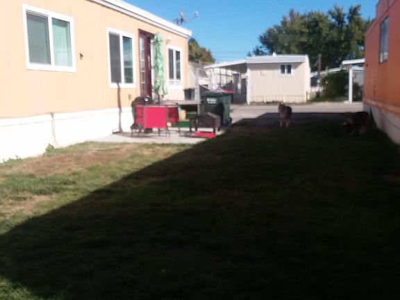 Taken from the back of the lot