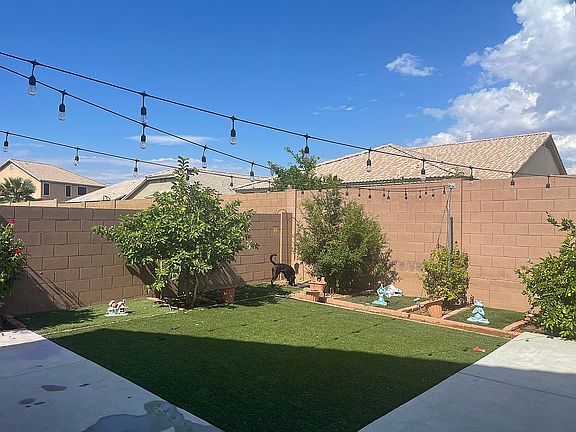 Back yard