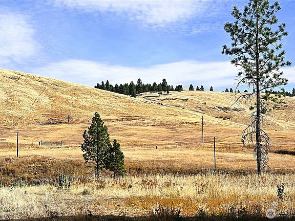 3rd image of 81 Rose Valley RD