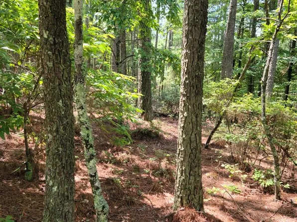 LOT 28 Belaire Dr, Copperhill, TN 37317