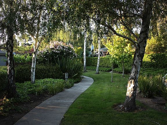 Village Green Grounds