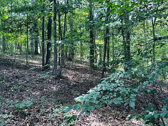 4th image of Sunfish Sunnypoint Rd