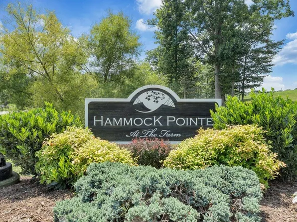 LOT 1 Hammock Pointe Dr, Moneta, VA 24121