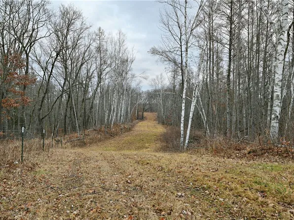 67 acres McLean Road, Bruce, WI 54819