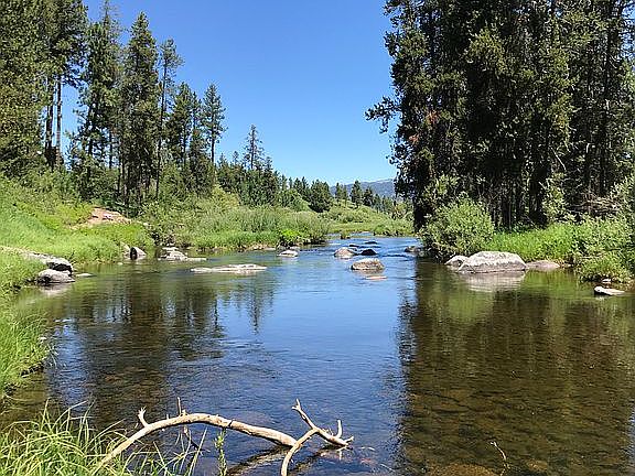 water's edge from yard to NE