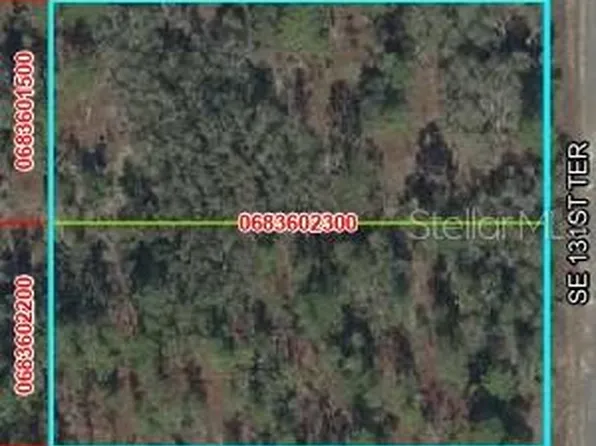 SE 131 TERRACE LOT 8,9, DUNNELLON, FL 34431