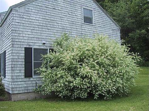 Riva, Catherine 005 - Copy (2)