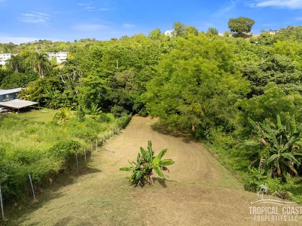 Bo Pueblo Carr 412 Km .6 Int Lot 4, Rincon, PR 00677