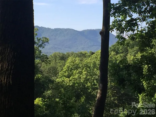 20 La Grange Dr, Asheville, NC 28805