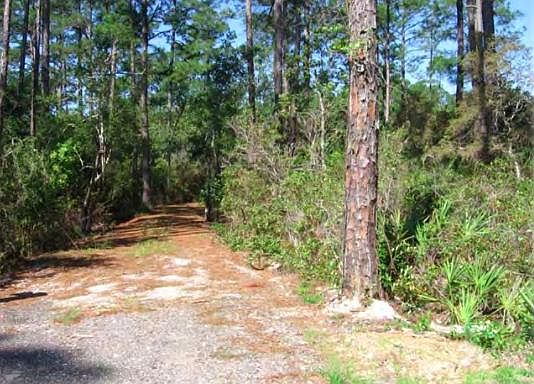 2nd image of 27 Dick Saltsman Rd
