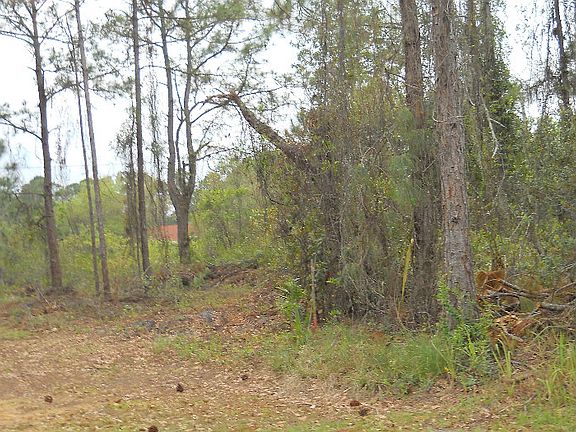 ALMOST 1.5 ACRES TOTAL