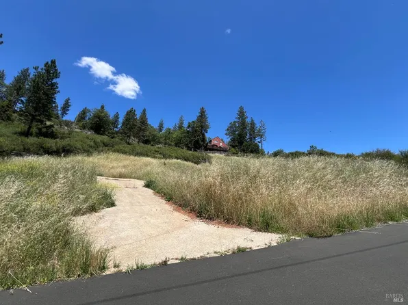 9284 Bleuss Way, Cobb, CA 95426
