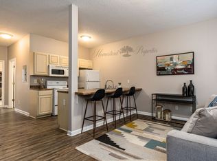 Spacious 1 Bedroom, 1 Bath Apartment on W. Main St Johnson City, TN, Johnson City, TN 37604