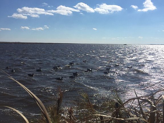 Waterview from every room