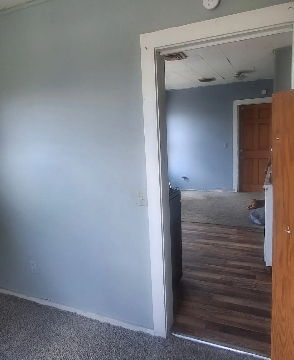 1 bed, $875 — Photo 1