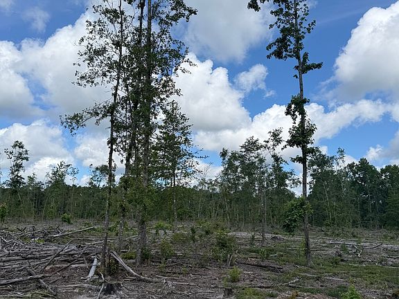 2nd image of 0 Mount Hope Rd