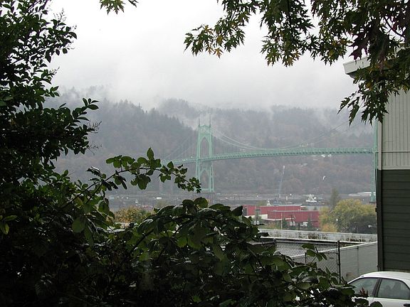 Back Yard View