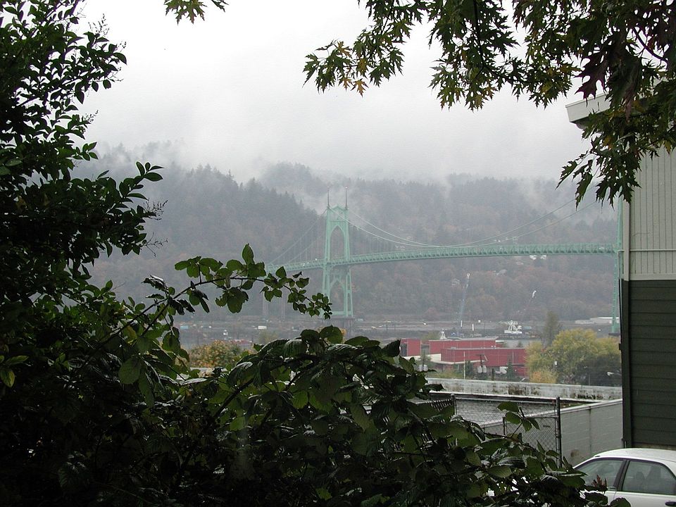 Back Yard View