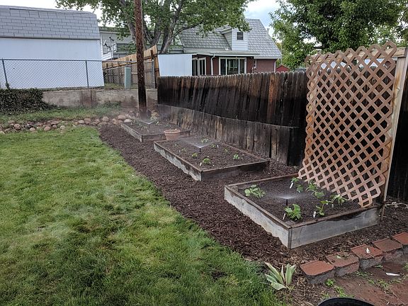 Garden Beds - Back Yard
