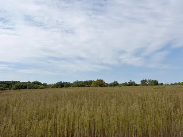 Yellow Pine St NW, Isanti, MN 55040