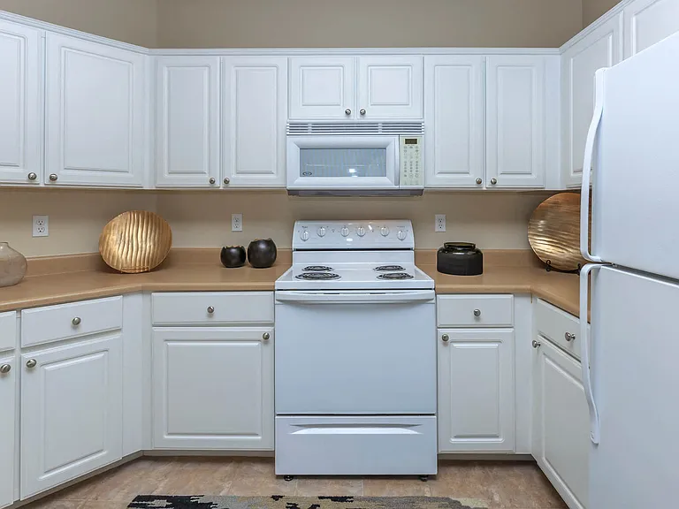 1a1 747 SQFT 1 Bed 1 Bath