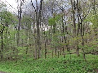 9 Slatyridge, Slatyfork, WV 26291