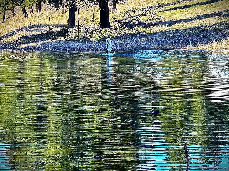 1st image of 397 Malama Aina Rd