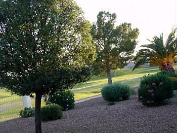 3rd image of 481 W Cherrywood Dr