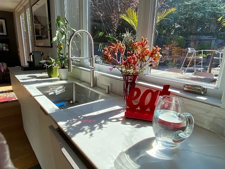 Bright sunny view to private backyard garden from kitchen sink