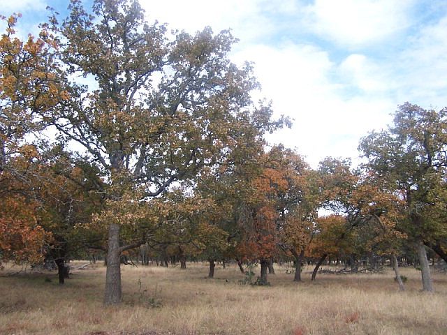 1st image of LOT 1 Vintage Oaks Dr