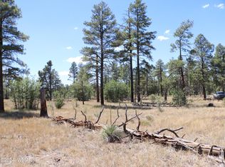 834 Pine Meadow Ln, Show Low, AZ 85901