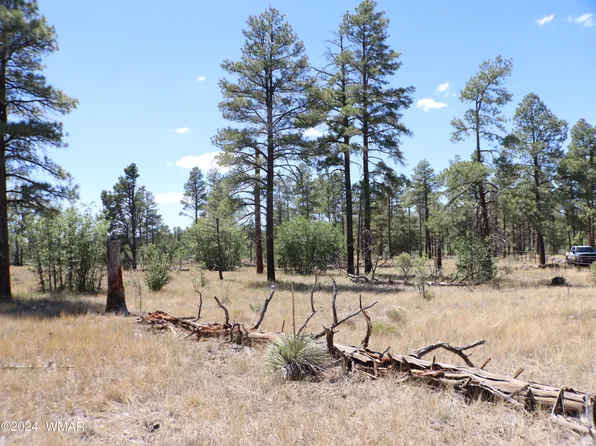 834 Pine Meadow Ln, Show Low, AZ 85901