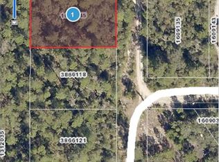 Sterling Rd LOT 1, Paisley, FL 32767