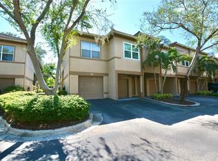 895 Normandy Trace Rd, Tampa, FL 33602