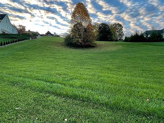 Bottom looking at road