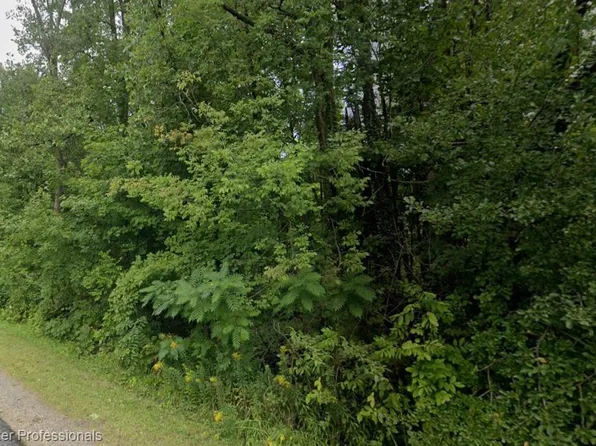 0 72nd St, Covert, MI 49043