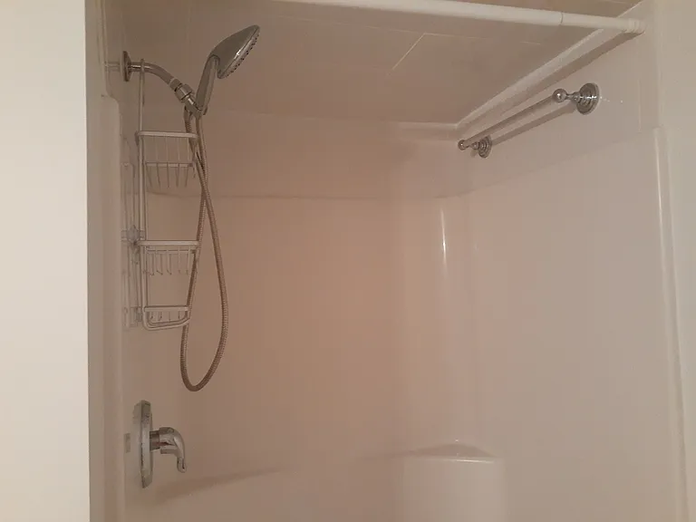 200B Adair St #B — Photo 18
