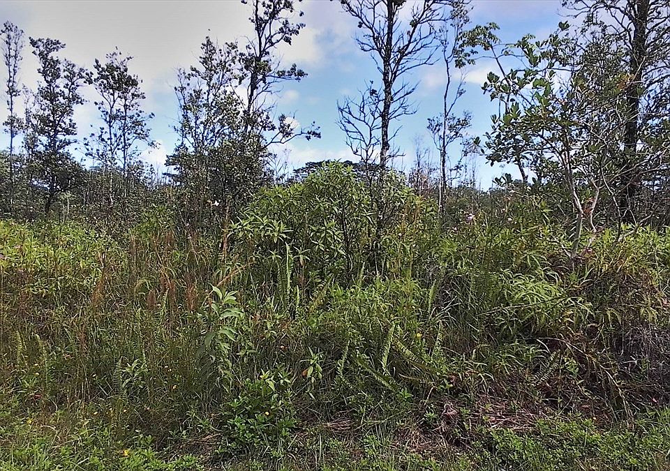 2nd image of 36th Ave Lot 52