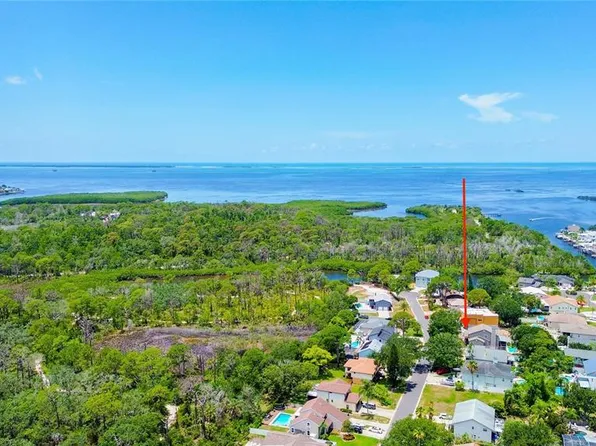 14 Baywood Dr, Palm Harbor, FL 34683